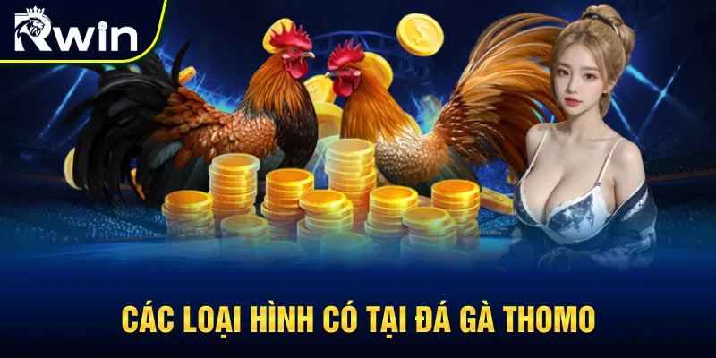 Một vài loại hình hot có tại đá gà Thomo