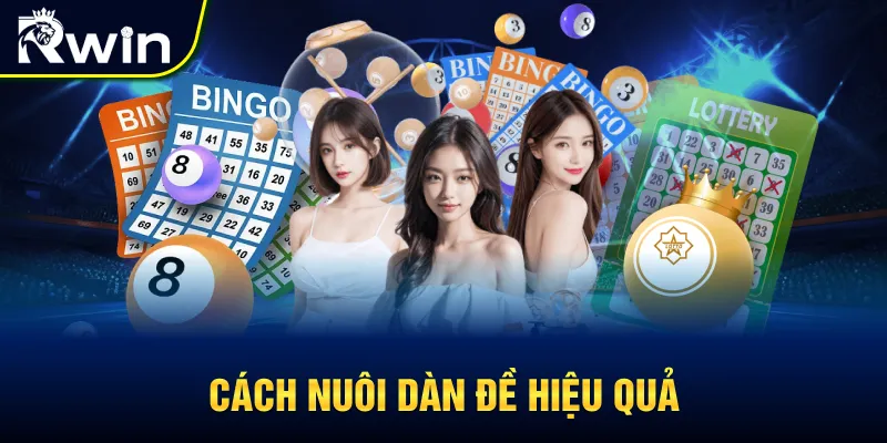 Cách nuôi dàn đề hiệu quả nhất