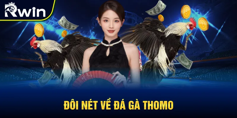 Khái quát chung về đá gà Thomo