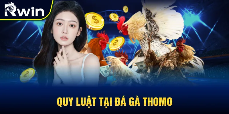 Luật chơi cá cược tại đá gà Thomo
