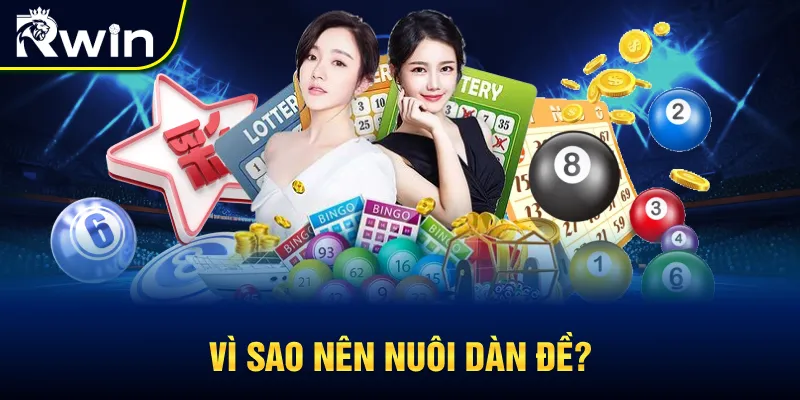 Vì sao nên nuôi dàn đề khi chơi lô đề?